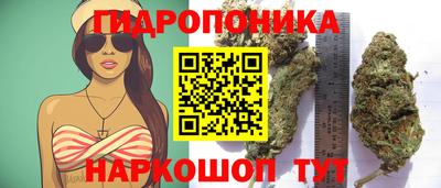 PSILOCYBIN Ликино-Дулёво