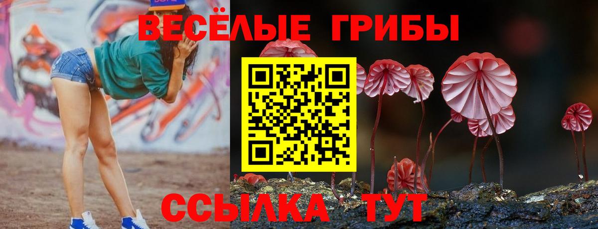 Десногорск  Псилоцибиновые грибы мухоморы  Галлюциногенные грибы ЛСД  Вход с VPN 